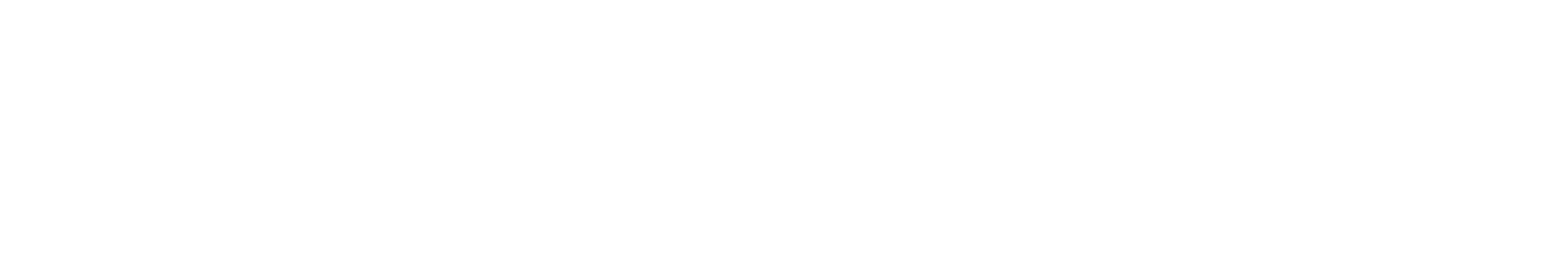 connexcel Australia logo